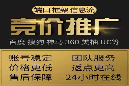 百度竞价运营的挑战与机遇：成功案例探讨